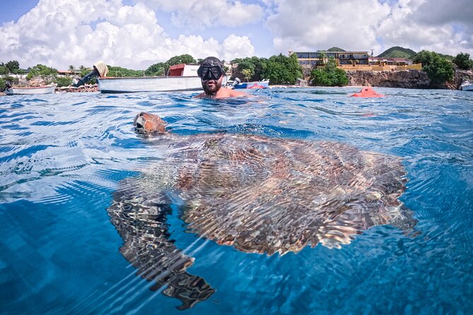 Curaçao Seabob in Playa Piskado Adventure with Sea Turtles - Who will enjoy this most
