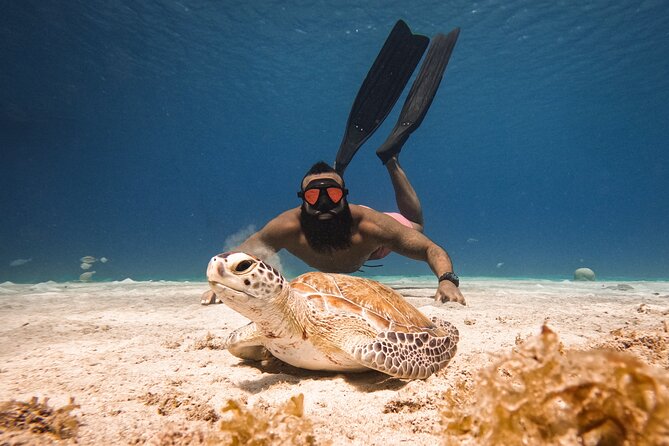 Curaçao Seabob in Playa Piskado Adventure with Sea Turtles - Meeting the sea turtles at Playa Piskado
