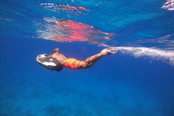 Curaçao Seabob Tour (by Bearded Butlers Curaçao) - What makes this Curaçao water tour worth considering