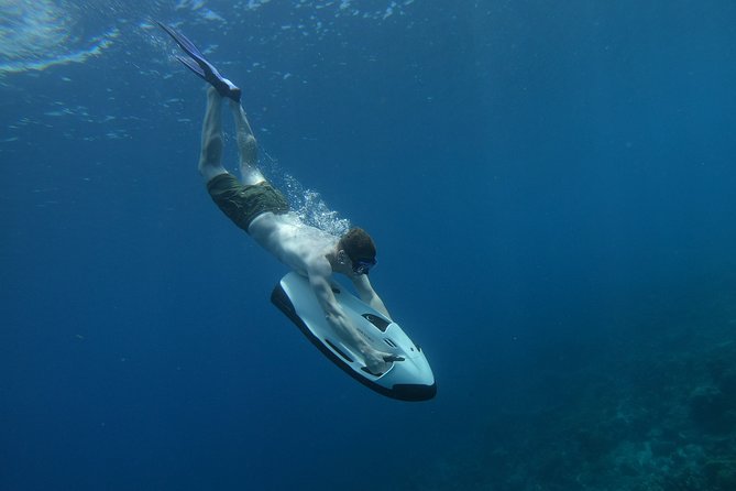 Curaçao Seabob Tour (by Bearded Butlers Curaçao) - Is $144 a fair price?