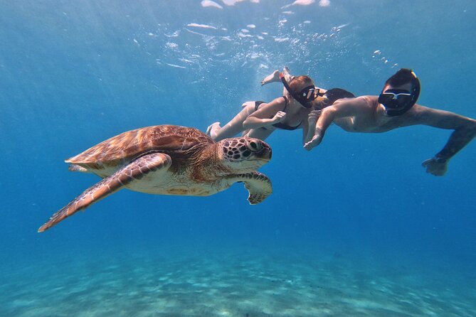 Curacao: Swimming with Sea Turtles meets Sea turtle beach - Grote Knip, Curaçao’s postcard beach