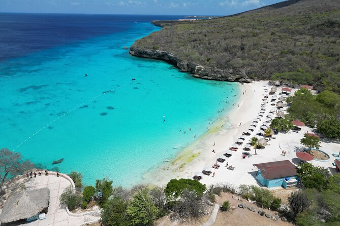 Curacao: Swimming with Sea Turtles meets Sea turtle beach - Is $99 a fair price?