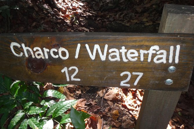 Damajagua Waterfalls for Cruise Ship Passengers - Why river conditions matter so much