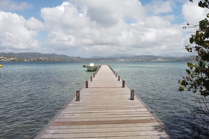 Day trip at sea to the Fonds Blancs Martinique Windward Coast - Key points to know before booking