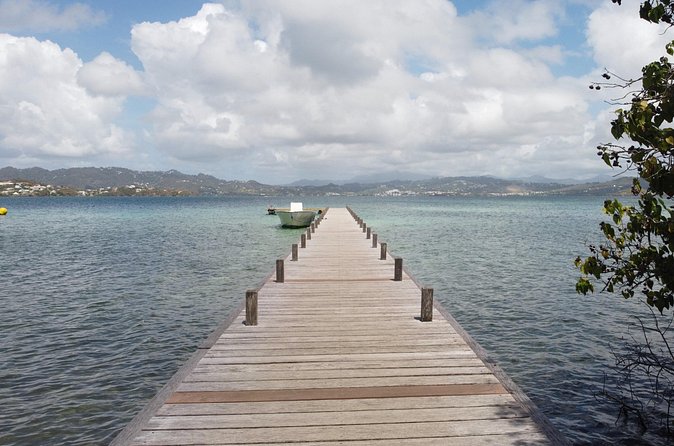 Day trip at sea to the Fonds Blancs Martinique Windward Coast - Group size, timing, and comfort