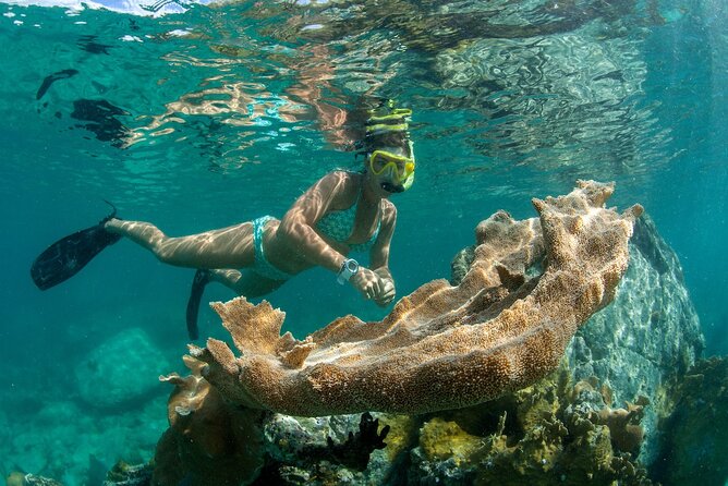 Deluxe Half-Day Snorkel Sail on Lady Grace Luxury Catamaran - Snorkeling the Turks and Caicos Barrier Reef