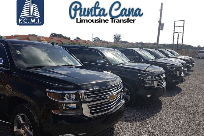 Deluxe SUV Private Round Trip Airport Transfer Uvero Alto Hotels 1-5 Passenger - What Happens When You Land