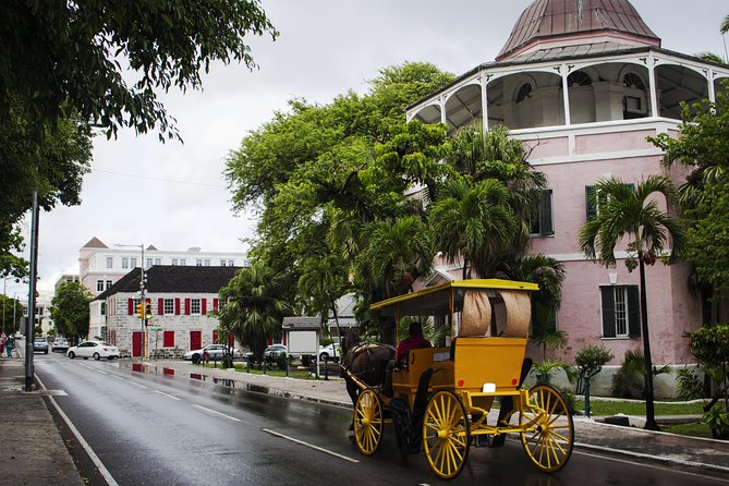 Dilly Dally Walking Tour of Nassau Attractions - John Watling’s Distillery and the tasting stops