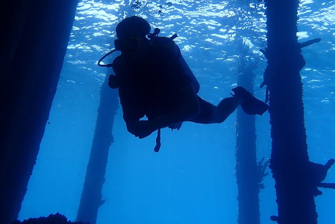 Discover Diving in Curacao - Should you book this Curaçao experience?
