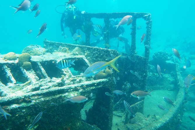 Discover Diving in Curacao - The morning plan: theory, practice, then open water