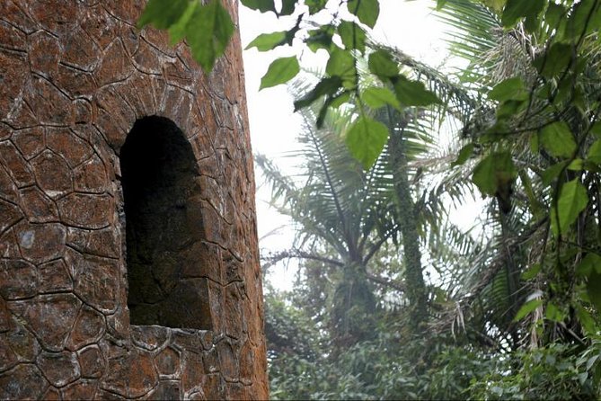 Discover El Yunque National Park: Half-Day Rainforest Tour - San Juan Pickup and the Ride Into the Forest