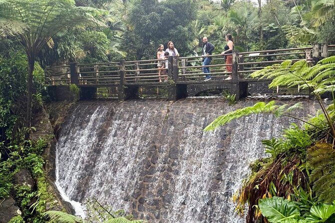 Discover El Yunque National Park: Half-Day Rainforest Tour - What the Guide Adds to the Experience