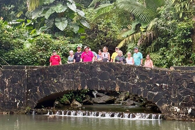 Discover El Yunque National Park: Half-Day Rainforest Tour - Is the $115 Price Fair?