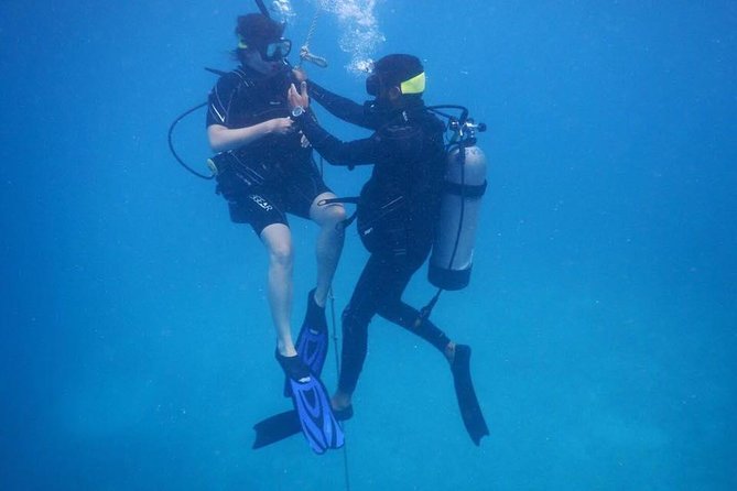 Discover Fajardo: 2-Tank Scuba Diving - A sensible first step into scuba near Fajardo