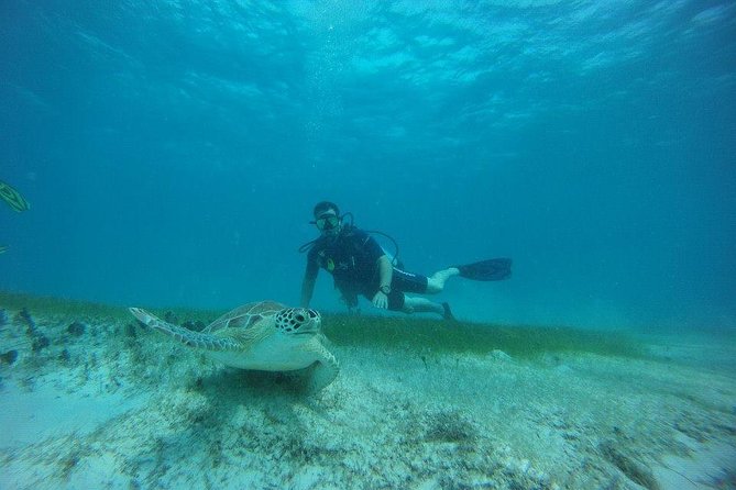 Discover Fajardo: 2-Tank Scuba Diving - The shore lesson and gear fitting