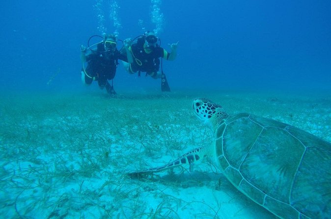 Discover Fajardo: 2-Tank Scuba Diving - Who will enjoy this most