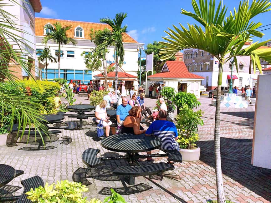 Discover Grenada: Your Private Sightseeing Taxi Tour. - A private start at the Grenada cruise terminal