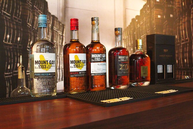 Discover Rum Barbados Tour - What the morning feels like