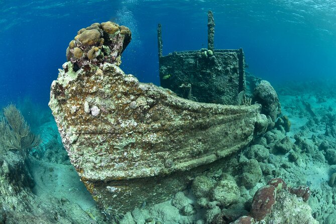 Discover Scuba Dive in Curacao - The short lesson that makes the reef possible