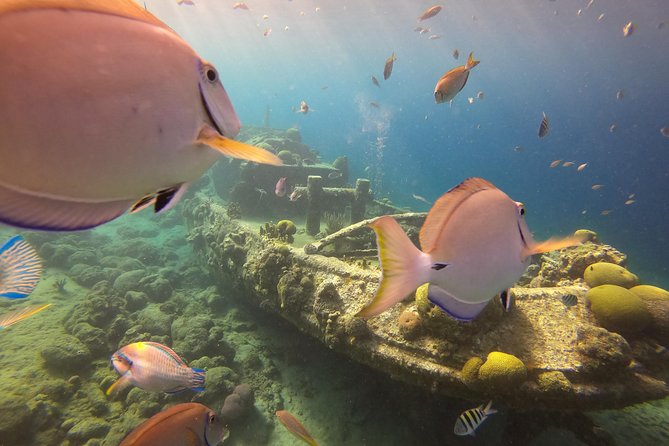 Discover Scuba Dive in Curacao - Reaching Curaçao’s reef