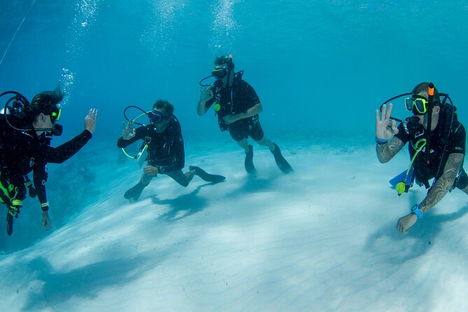Discover Scuba Dive in Curacao - What the $125 price covers