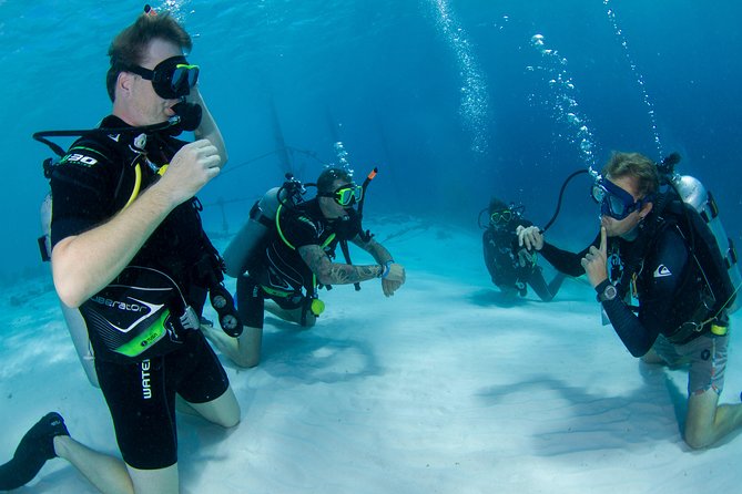 Discover Scuba Dive in Curacao - Three skills in protected shallow water