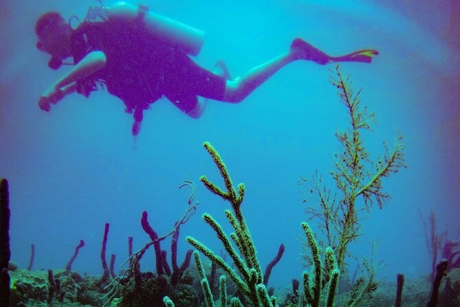 Discover Scuba Diving - Why the small group matters