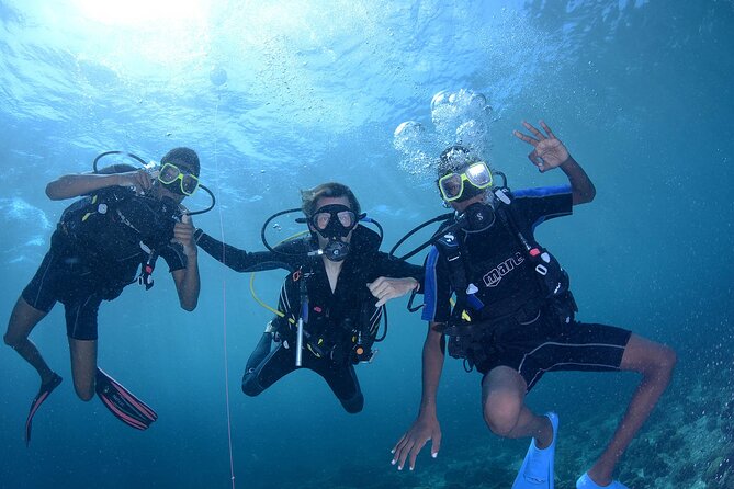 Discover Scuba Diving Experience - Key points to know before booking