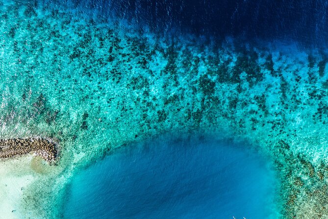 Discover Scuba Diving Experience - Learning to breathe underwater before exploring the reef