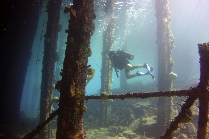 Discover Scuba Diving in Curacao - Health, fitness, and timing details