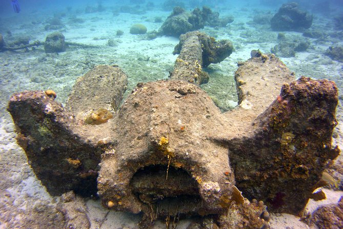 Discover Scuba Diving in Curacao - Should you book the Curacao scuba introduction?