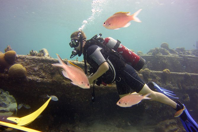 Discover Scuba Diving in Curacao - Moving from the pool to Curacao’s Tugboat site
