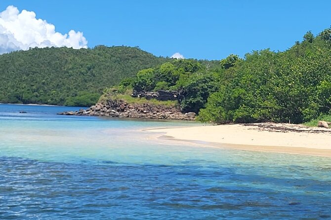 Discover the Splendid Universe of Islands and Seabed - Iguana Islet connects nature with Martinique’s past