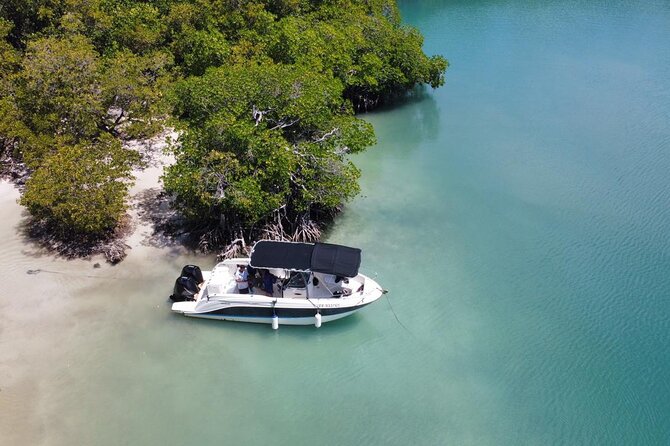 Discovery day at La Baignoire de Joséphine on the windward side - Key points to know before you book