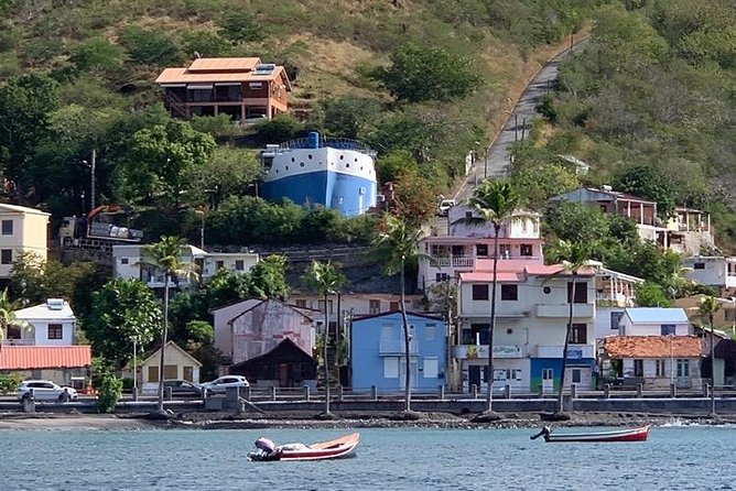 Discovery of dolphins on the Caribbean coast - Is the small-group format worth $77.57?