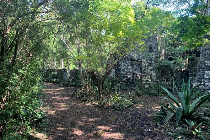 Discovery Tour and Treasure Hunt ( North and Middle Caicos) - Conch Bar Caves: natural, dark, and uneven