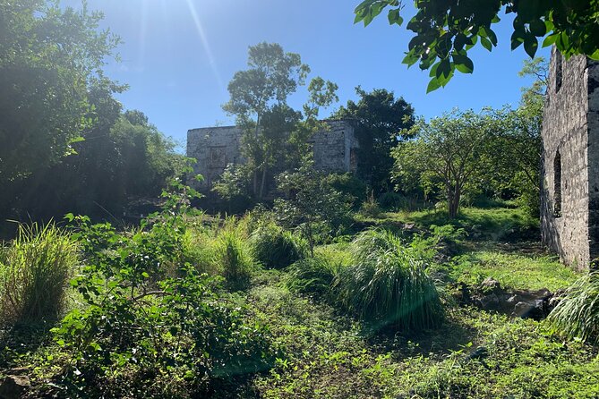 Discovery Tour and Treasure Hunt ( North and Middle Caicos) - Cottage Pond and the blue hole