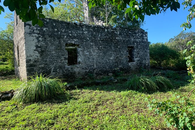Discovery Tour and Treasure Hunt ( North and Middle Caicos) - Lunch with a view