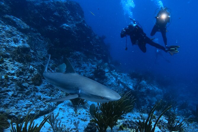 DiveCarib - An Eco-Friendly Certified Diver Trip in Antigua - The boat ride is part of the reward