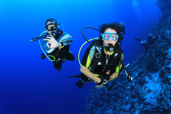 Diving for Certified Divers, 2 Tanks Sosúa Bay - Key points to know before you book