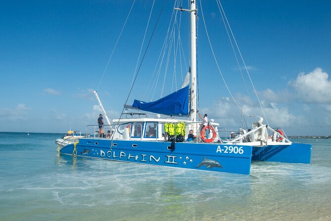 Dolphin Catamaran Snorkel and Sail with Open Bar - How the $69 price holds up