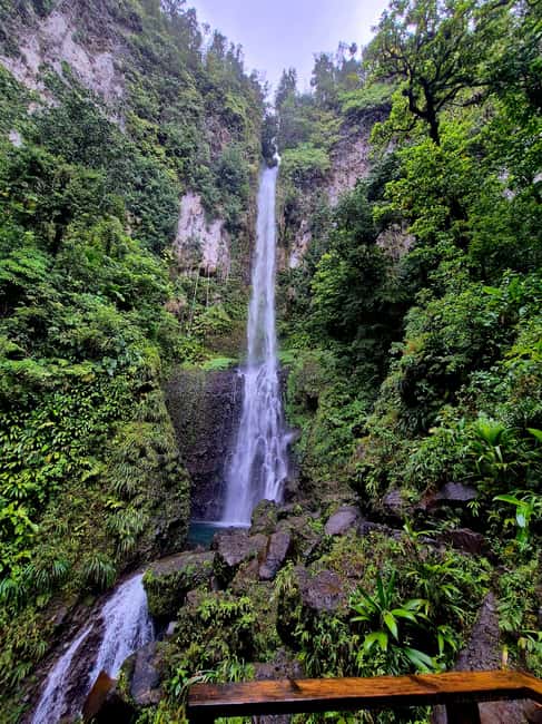 Dominica: Middleham Falls, Titou Gorge, and Trafalgar Falls… - Key points at a glance