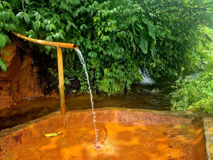 Dominica: Middleham Falls, Titou Gorge, and Trafalgar Falls… - Middleham Falls: the demanding first walk