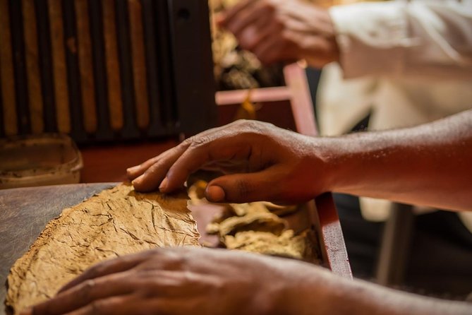 Dominican Cigar Factory Tour - Watching a cigar take shape