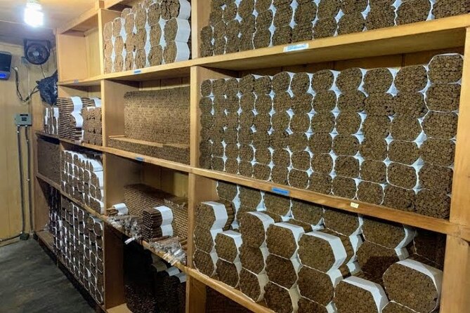 Don Lucas Cigar Factory & Store + Premium Rum Tasting (3 hours) - Watching cigars take shape by hand