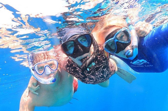 Double Dip Snorkel Trip - Why the Small Groups Matter Underwater