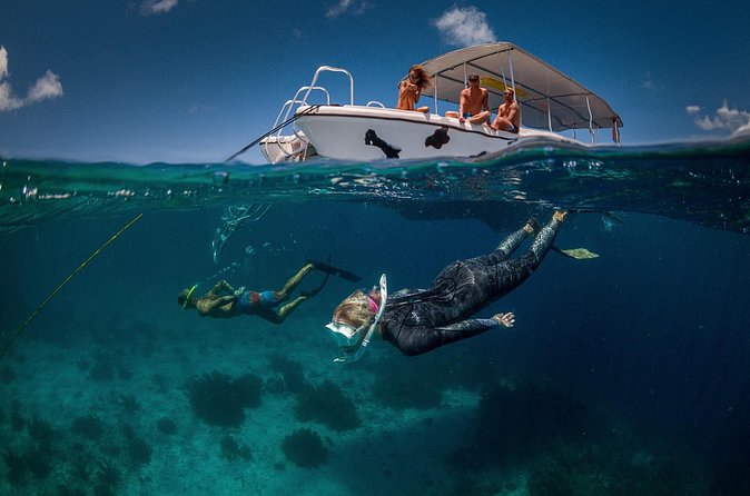 Double Dip Snorkel Trip - Homemade Snacks, Soft Drinks, and Rum Punch