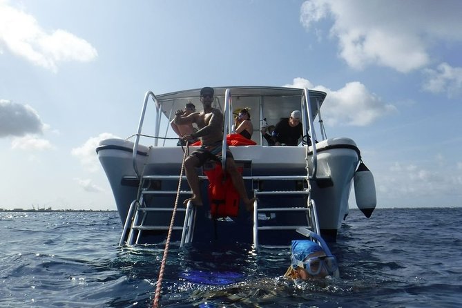 Double Dip Snorkel Trip - Second Stop: A Different Reef View