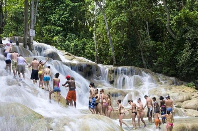Dunn's River Falls and Horse Back Riding Excursion - What the guides add to the day