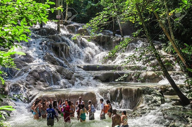 Dunn's River Falls and Horse Back Riding Excursion - How to plan the day
